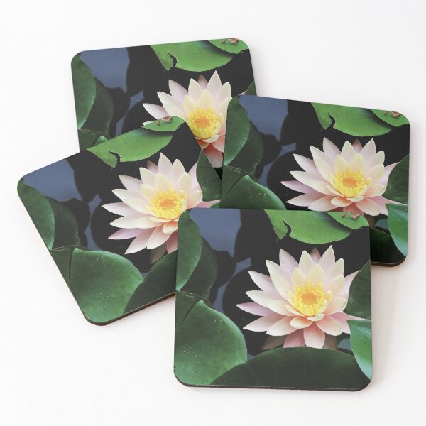 Item preview, Water Lily designed and sold by Lydia Planalp.