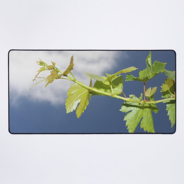 Item preview, Reaching Skyward designed and sold by heatherfriedman.