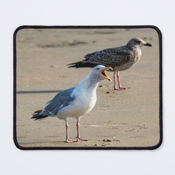 Item preview, Seagulls from Borkum designed and sold by dawilm-Media.