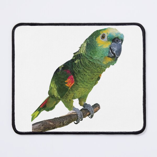 Item preview, The blue-fronted amazon designed and sold by obscurite.