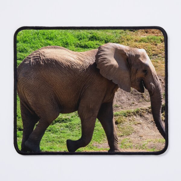 Item preview, Laughing Elephant! designed and sold by heatherfriedman.