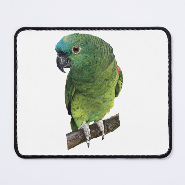 Item preview, Copy of The Blue-fronted Amazon designed and sold by obscurite.