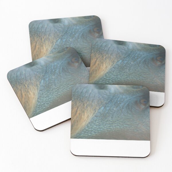 Item preview, Don't Want To Be Here...... designed and sold by Sandra Cockayne.