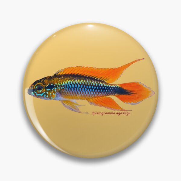 Item preview, Apistogramma agassizii designed and sold by CatsPa.