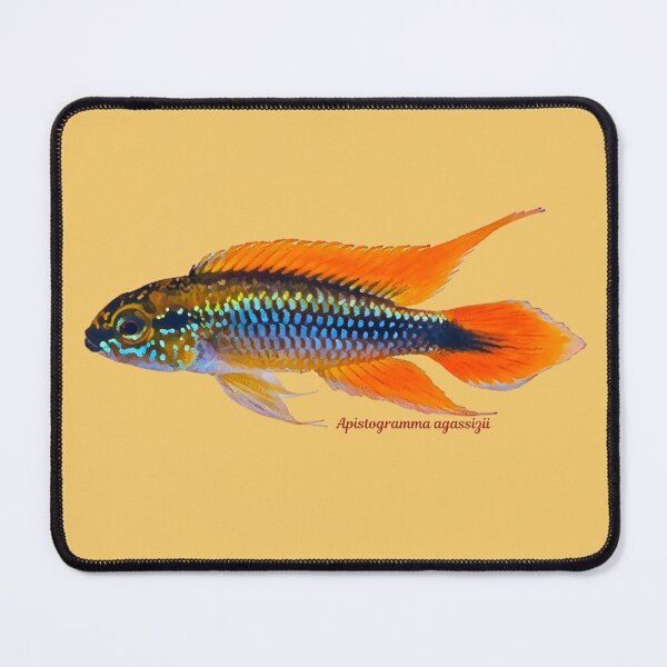 Item preview, Apistogramma agassizii designed and sold by CatsPa.