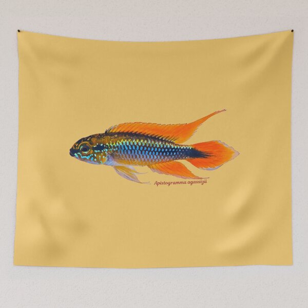 Item preview, Apistogramma agassizii designed and sold by CatsPa.