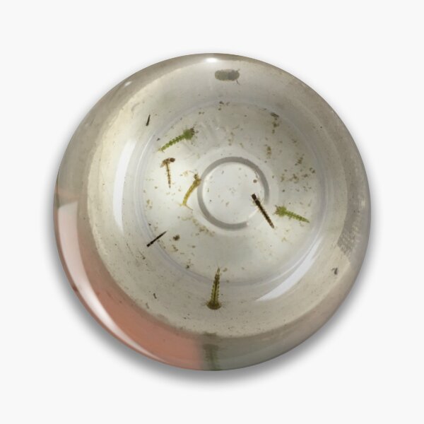 Item preview, Mosquito Larva designed and sold by derbyisdead.
