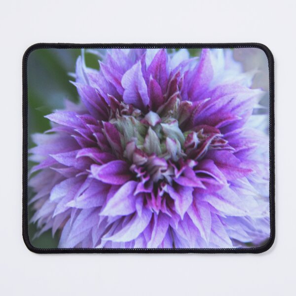 Item preview, Petals of Purple designed and sold by heatherfriedman.