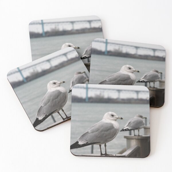 Item preview, Ambassador gulls designed and sold by ESK-Kalevala.