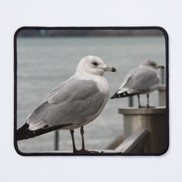 Item preview, Ambassador gulls designed and sold by ESK-Kalevala.