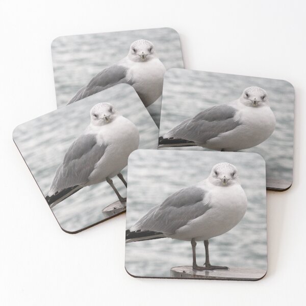 Item preview, Critical seagull designed and sold by ESK-Kalevala.
