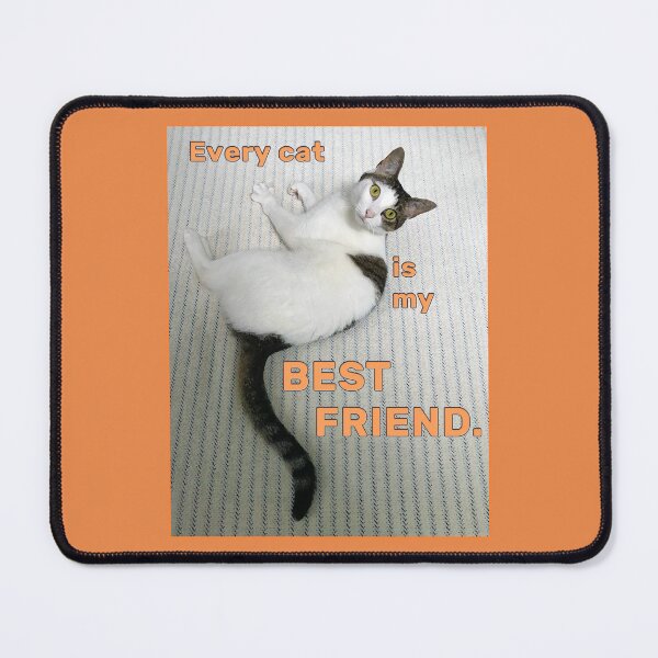Item preview, Every Cat is my Best Friend. designed and sold by kvalachovic.
