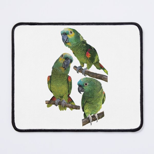 Item preview, The blue-fronted amazon designed and sold by obscurite.