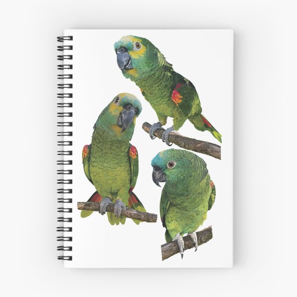 Item preview, The blue-fronted amazon designed and sold by obscurite.