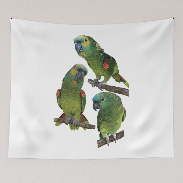 Item preview, The blue-fronted amazon designed and sold by obscurite.