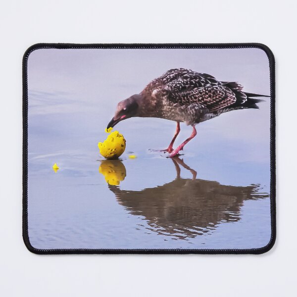 Item preview, When Food is Scarce, You Eat What You  Find!  designed and sold by heatherfriedman.