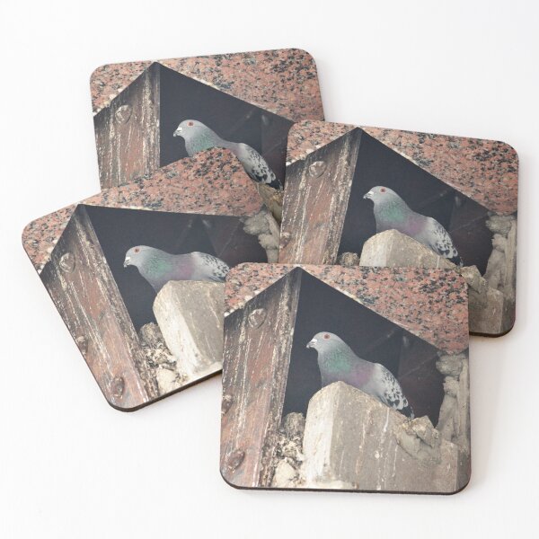Item preview, Pigeon perch designed and sold by ESK-Kalevala.