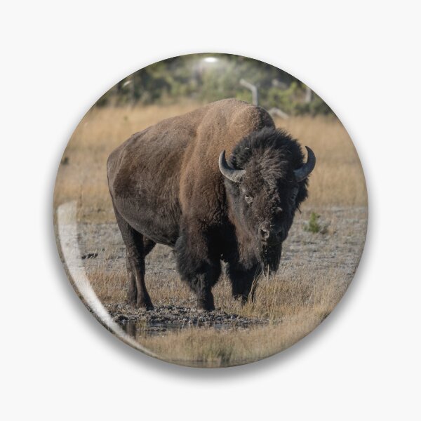 Item preview, What Are YOU Looking At? designed and sold by Christi Bushby.