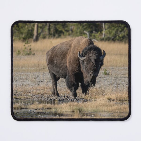 Item preview, What Are YOU Looking At? designed and sold by Christi Bushby.
