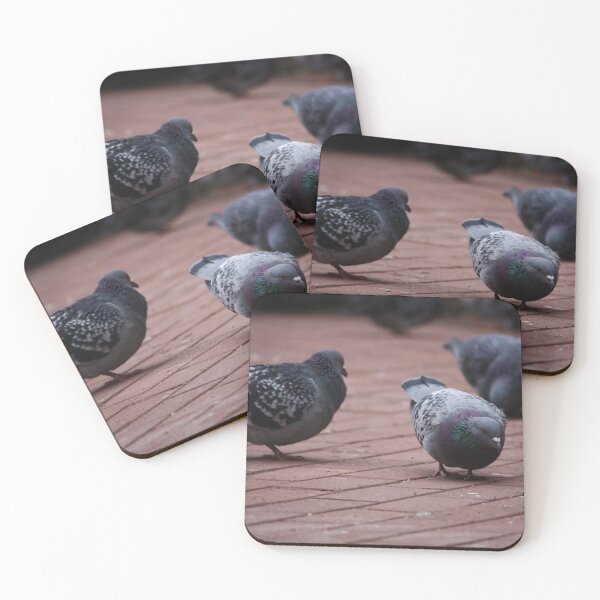 Item preview, Pigeon snacking designed and sold by ESK-Kalevala.