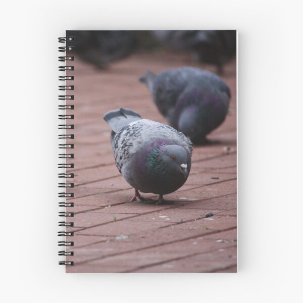 Item preview, Pigeon snacking designed and sold by ESK-Kalevala.