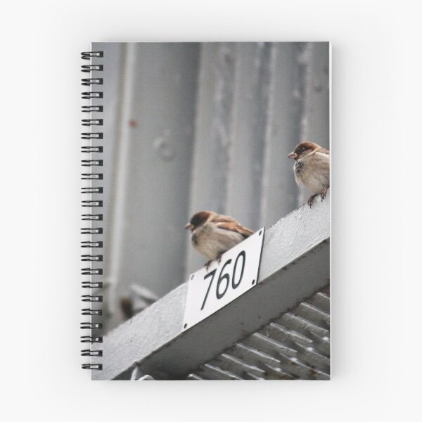 Item preview, Urban sparrows designed and sold by ESK-Kalevala.