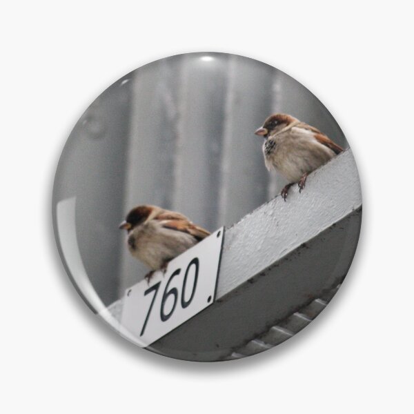Item preview, Urban sparrows designed and sold by ESK-Kalevala.