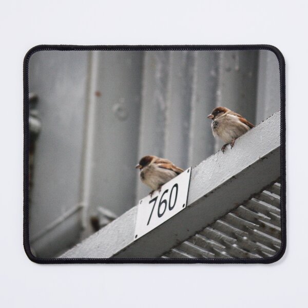 Item preview, Urban sparrows designed and sold by ESK-Kalevala.