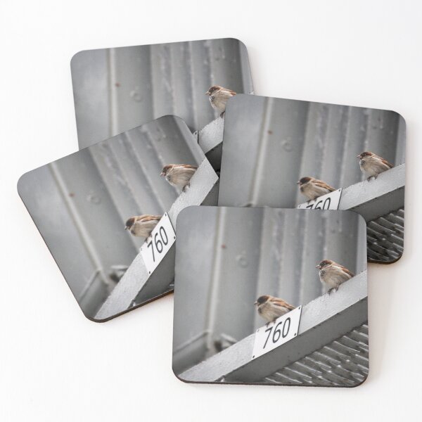 Item preview, Urban sparrows designed and sold by ESK-Kalevala.