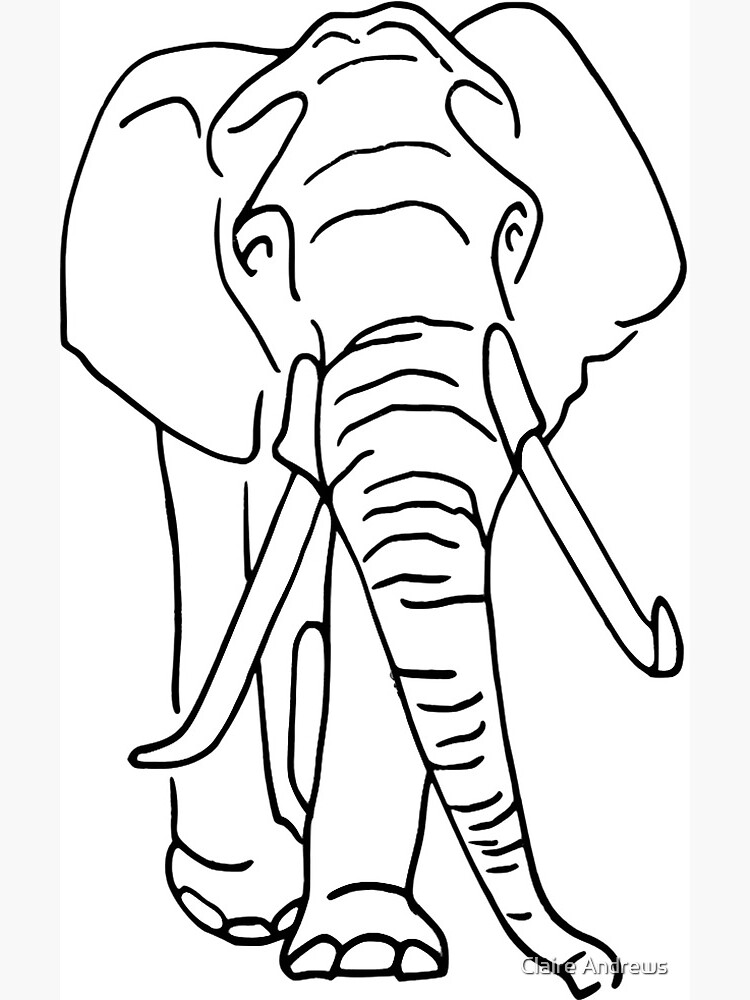 Quick Draw Elephant Greeting Card By Claireandrewss Redbubble