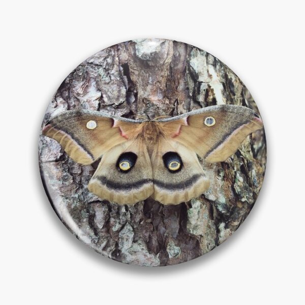 Item preview, Polyphemus Moth designed and sold by MapleRoseShop.