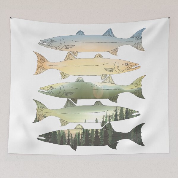 Item preview, Barracuda Sunrise designed and sold by damonasplace.