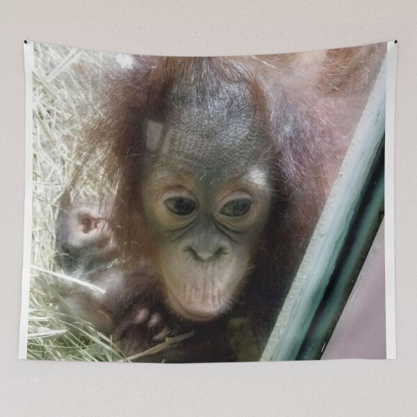 Item preview, Monkey curious  designed and sold by deville13.