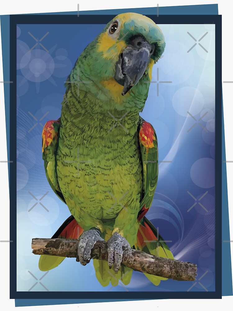 "The bluefronted amazon" Sticker for Sale by obscurite Redbubble