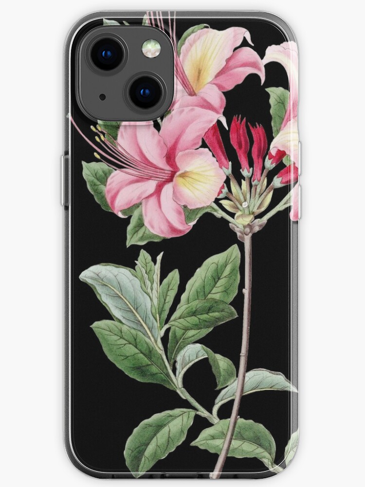 Funda de iPhone «Flor de azalea, Ilustración floral de la vendimia, Flores de  azalea» de TDSwhite | Redbubble