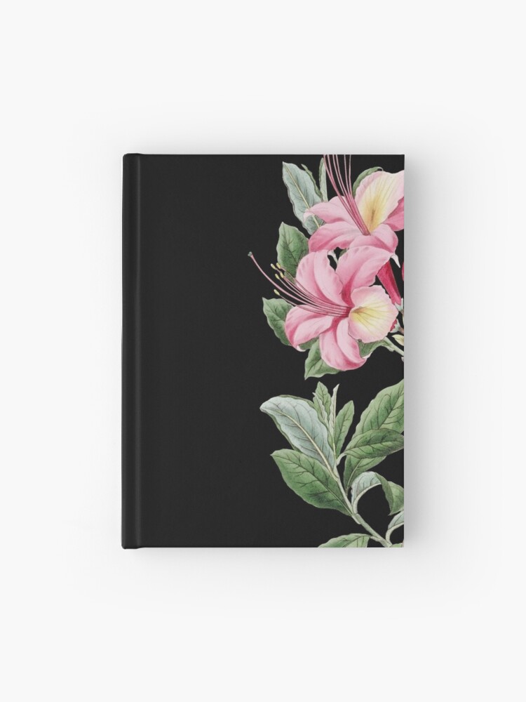 Cuaderno de tapa dura «Flor de azalea, Ilustración floral de la vendimia, Flores  de azalea» de TDSwhite | Redbubble