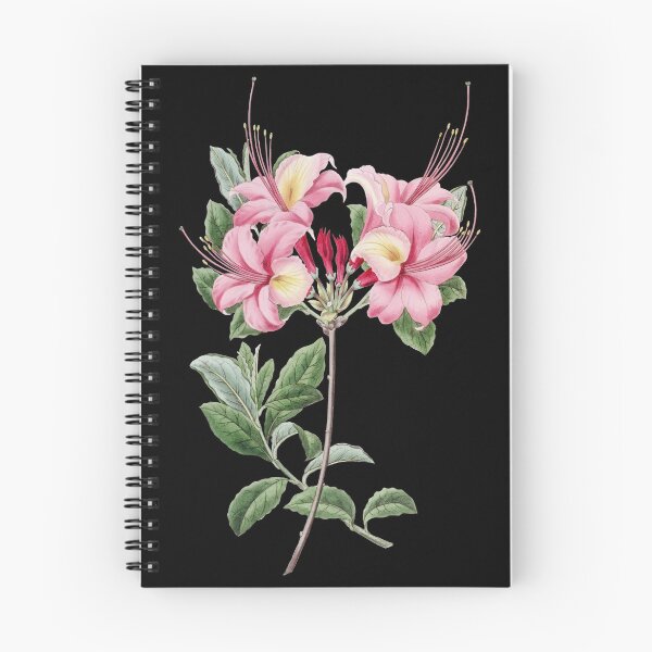 Item preview, Azalea Flower, Vintage Floral Illustration, Azalea Flowers designed and sold by TDSwhite.