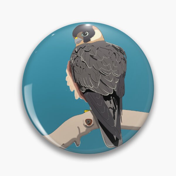Item preview, Australian Hobby, bird of prey designed and sold by CairnsBirders.