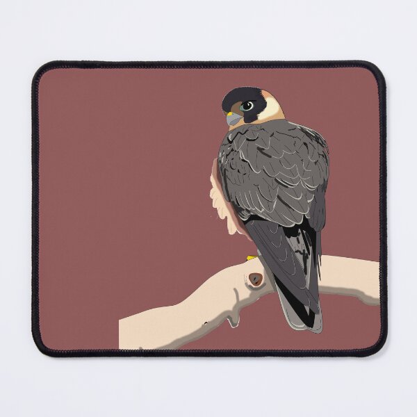 Item preview, Australian Hobby, bird of prey designed and sold by CairnsBirders.