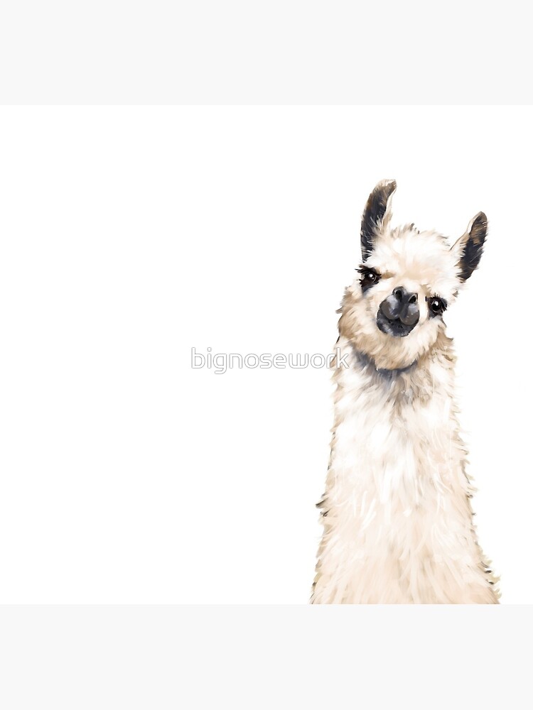 Llama by bignosework