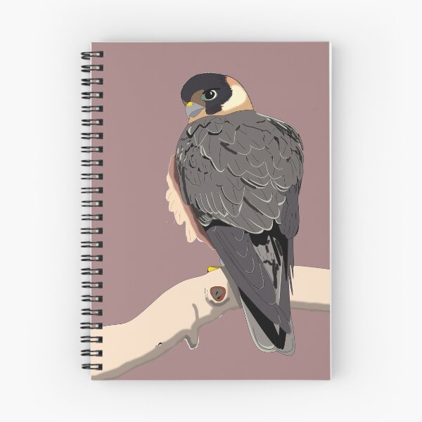 Item preview, Australian Hobby, bird of prey designed and sold by CairnsBirders.