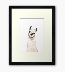 Llama Framed Print