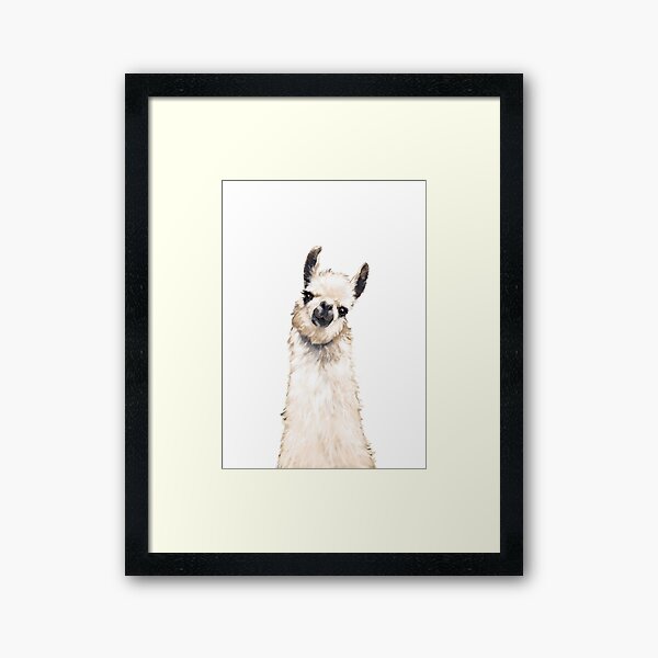 Lama Gerahmter Kunstdruck