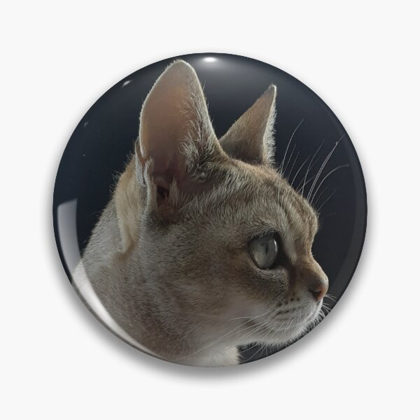 Item preview, Speedball profile  designed and sold by Cat-yawns.