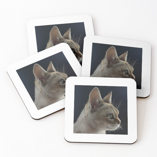 Item preview, Speedball profile  designed and sold by Cat-yawns.
