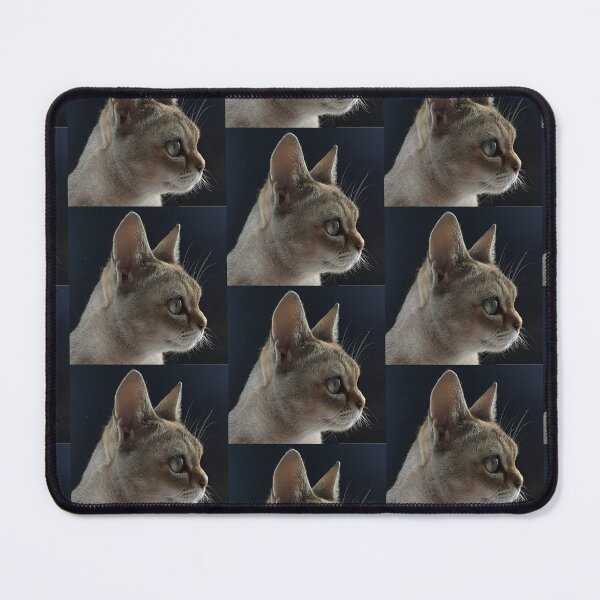 Item preview, Speedball profile  designed and sold by Cat-yawns.