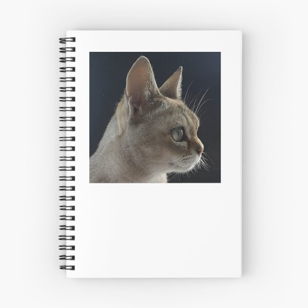 Item preview, Speedball profile  designed and sold by Cat-yawns.