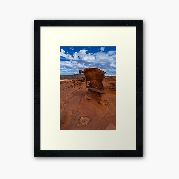 The Watcher Framed Art Print