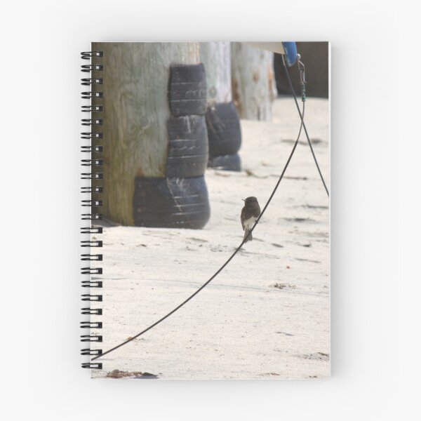 Item preview, BIRD ON A ROPE designed and sold by Betsy Seeton.