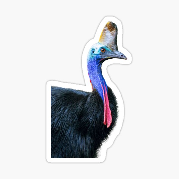 Item preview, Cassowary designed and sold by Jaykayl.